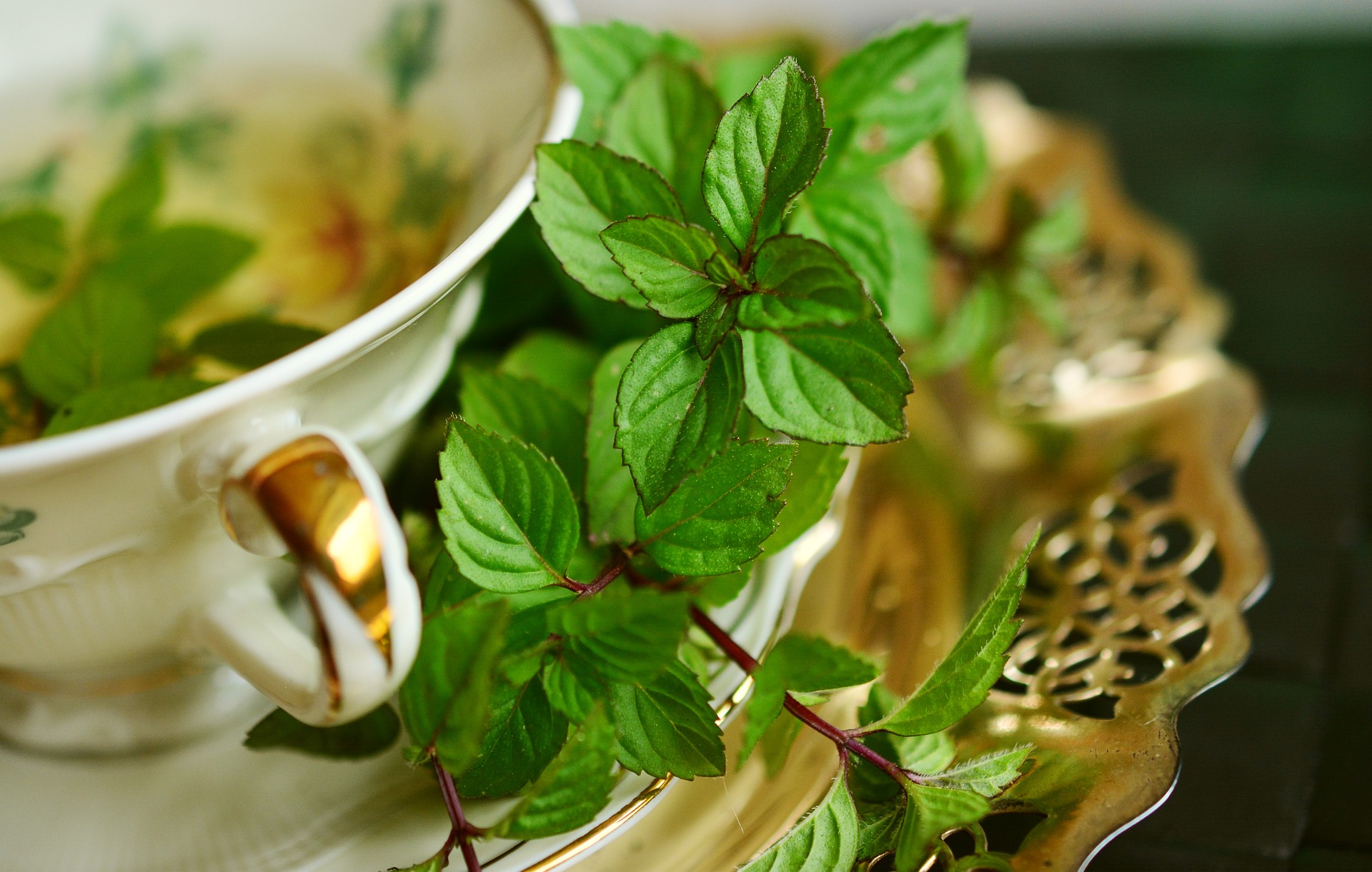 traditional herbal remedies